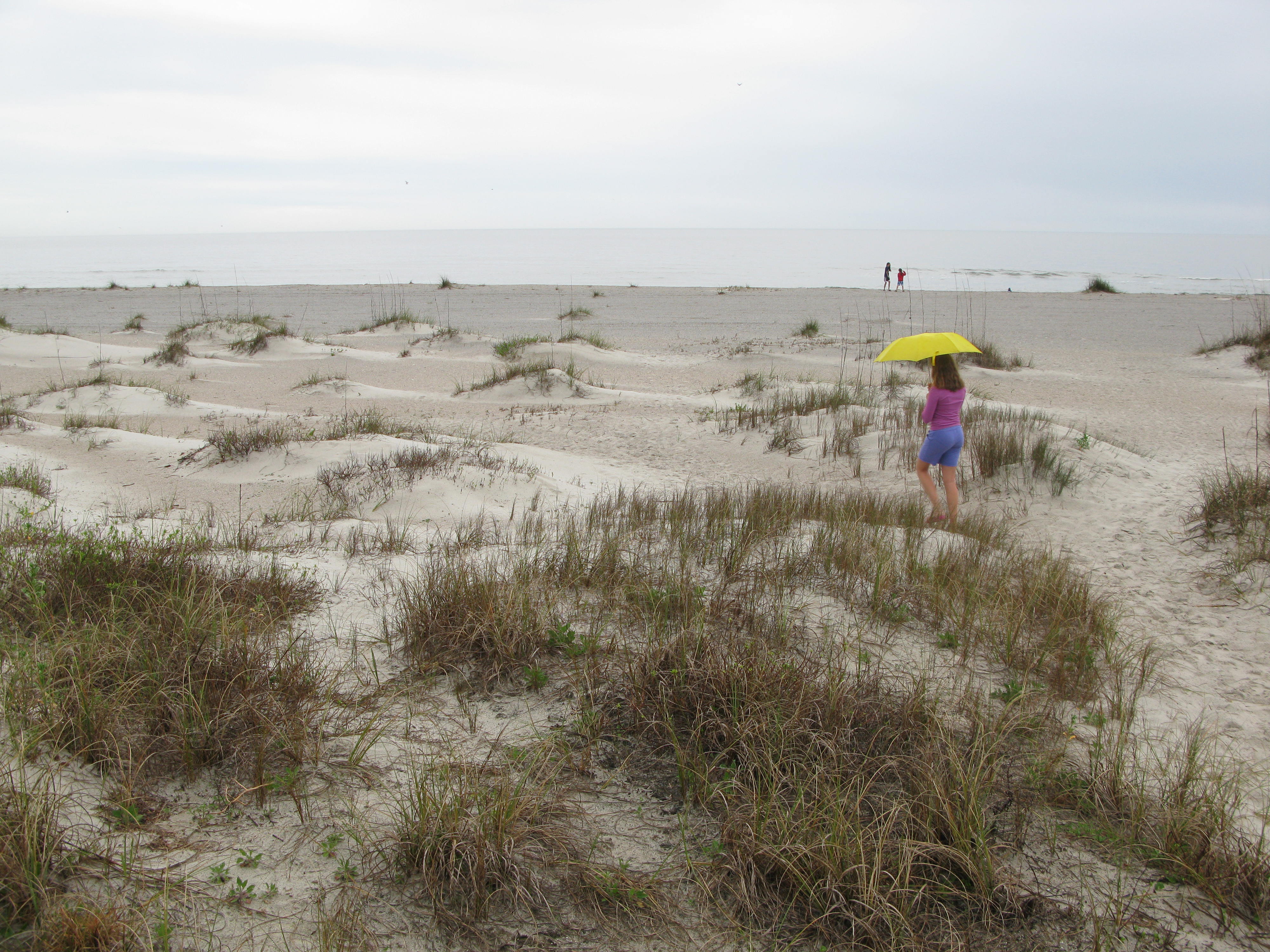 Best Florida Island for Family Vacations | Amelia Island Plantation | Florida Beach Resorts | Open Beach