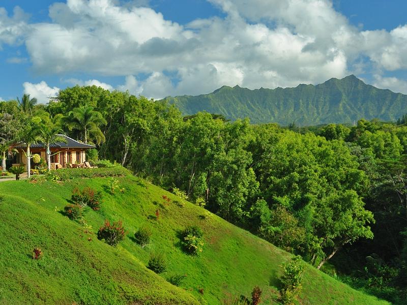 Kauai North Shore Hawaii home for sale