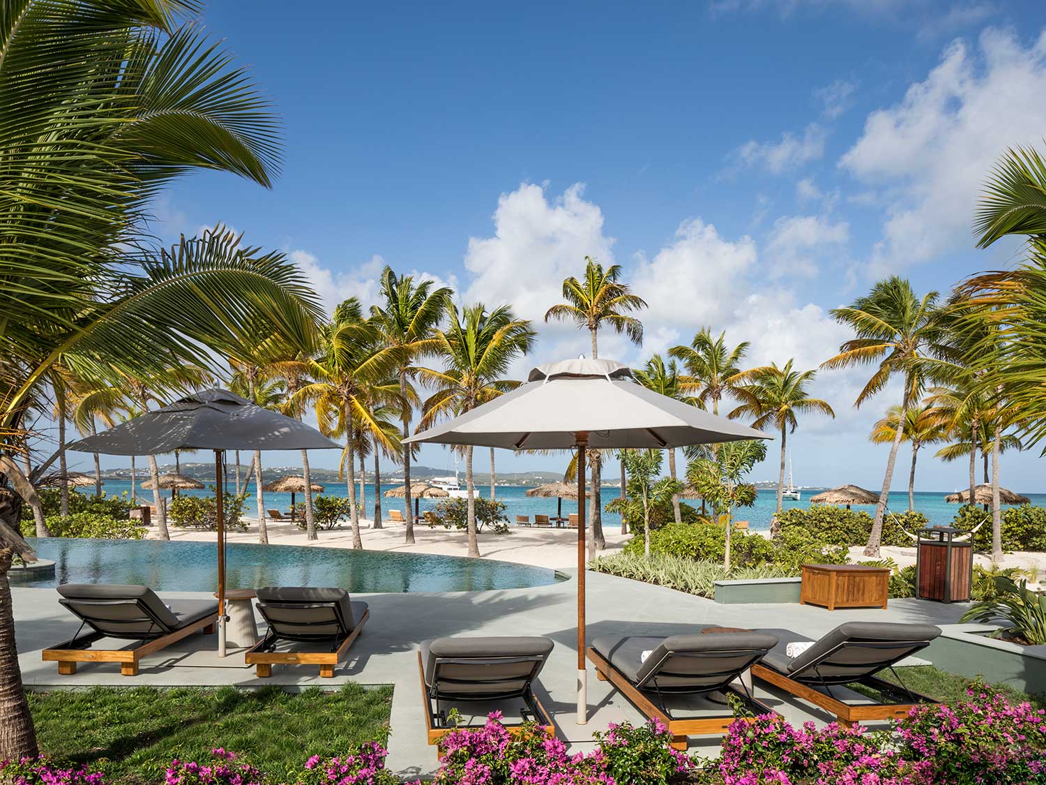 A pool and spa lounge surrounded by palm trees and is next to a beach.