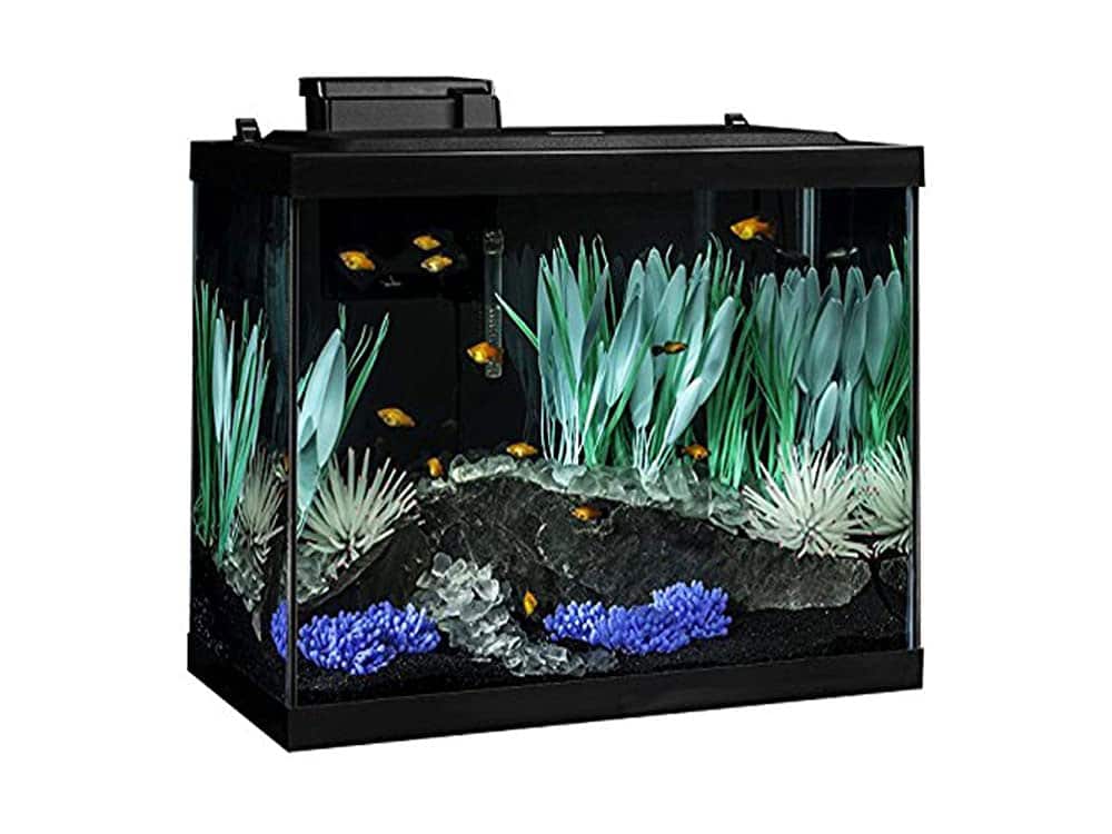 Tetra ColorFusion Aquarium 20 Gallon Fish Tank Kit, Includes LED Lighting and Decor