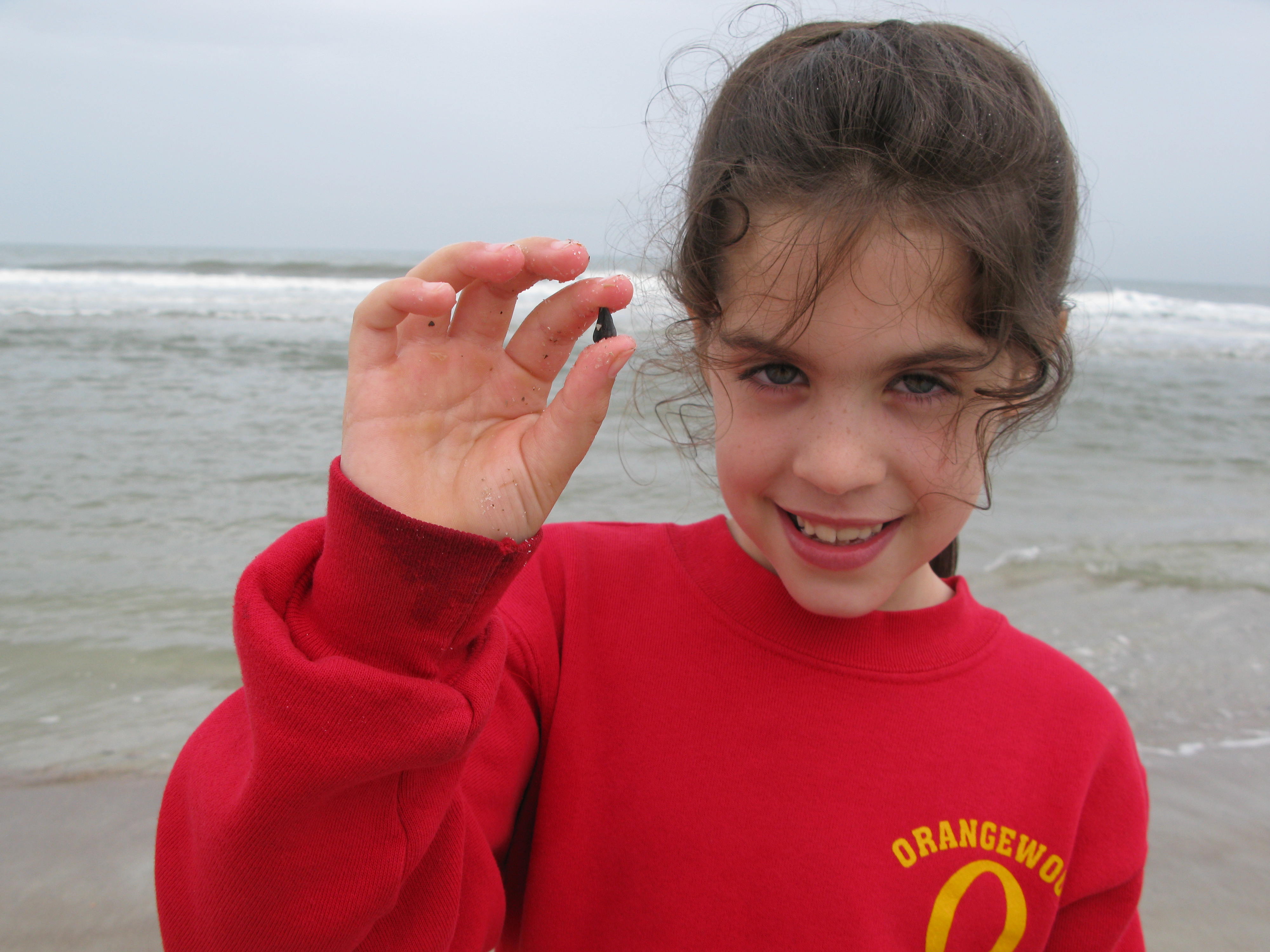 Best Florida Island for Family Vacations | Amelia Island Plantation | Florida Beach Resorts | Shark tooth hunting