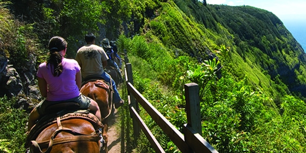 71 ride a mule on molokai hawaii