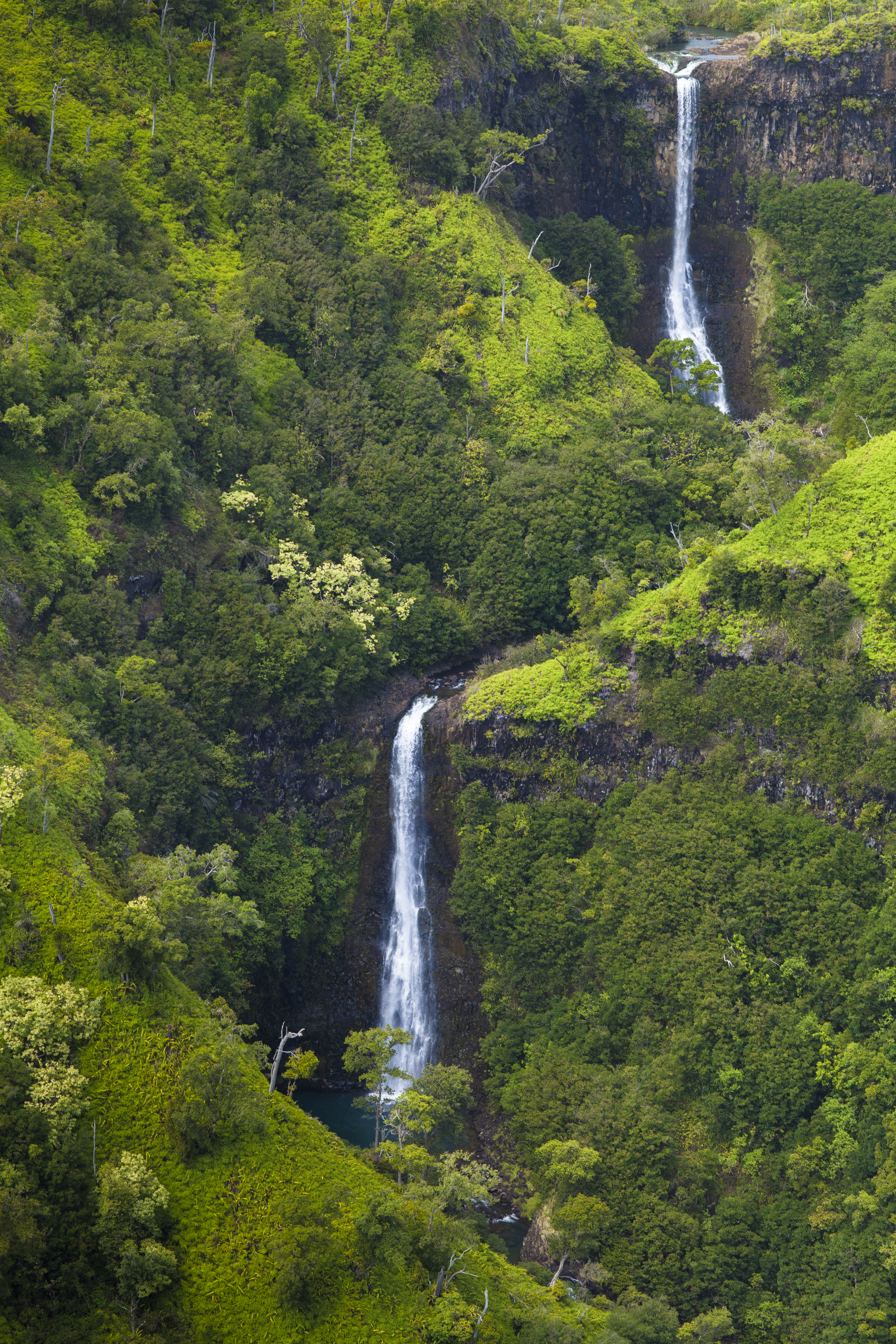How to move to Kauai | Best Islands to live on Hawaii | Garden Isle