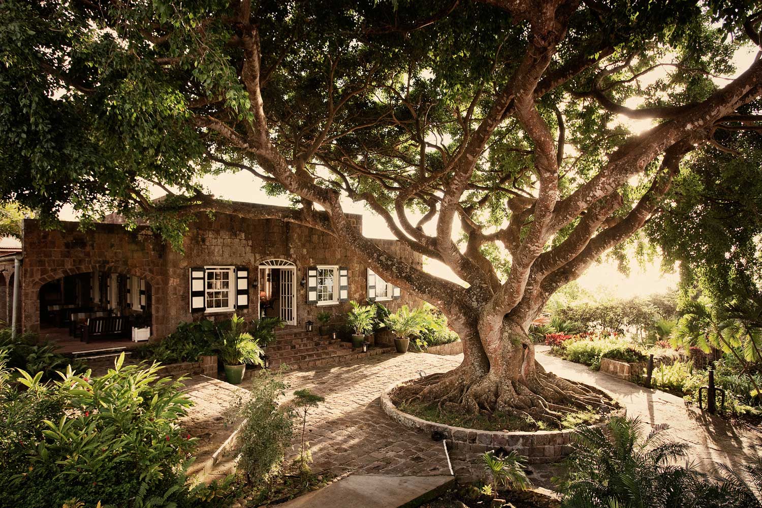 caribbean boutique hotels - montpelier plantation, nevis