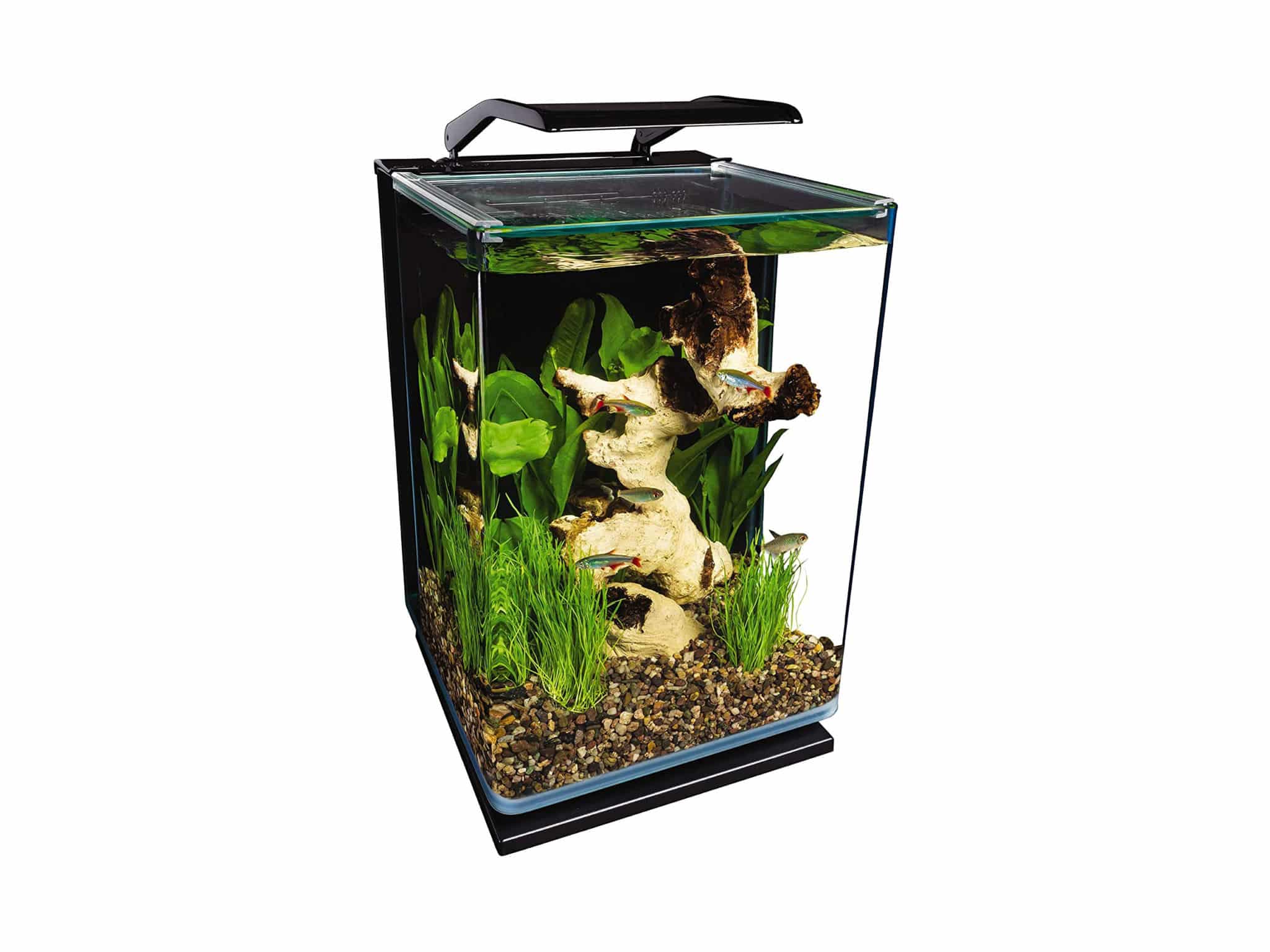 Marineland Portrait Glass LED aquarium Kit, 5 Gallons, Hidden Filtration