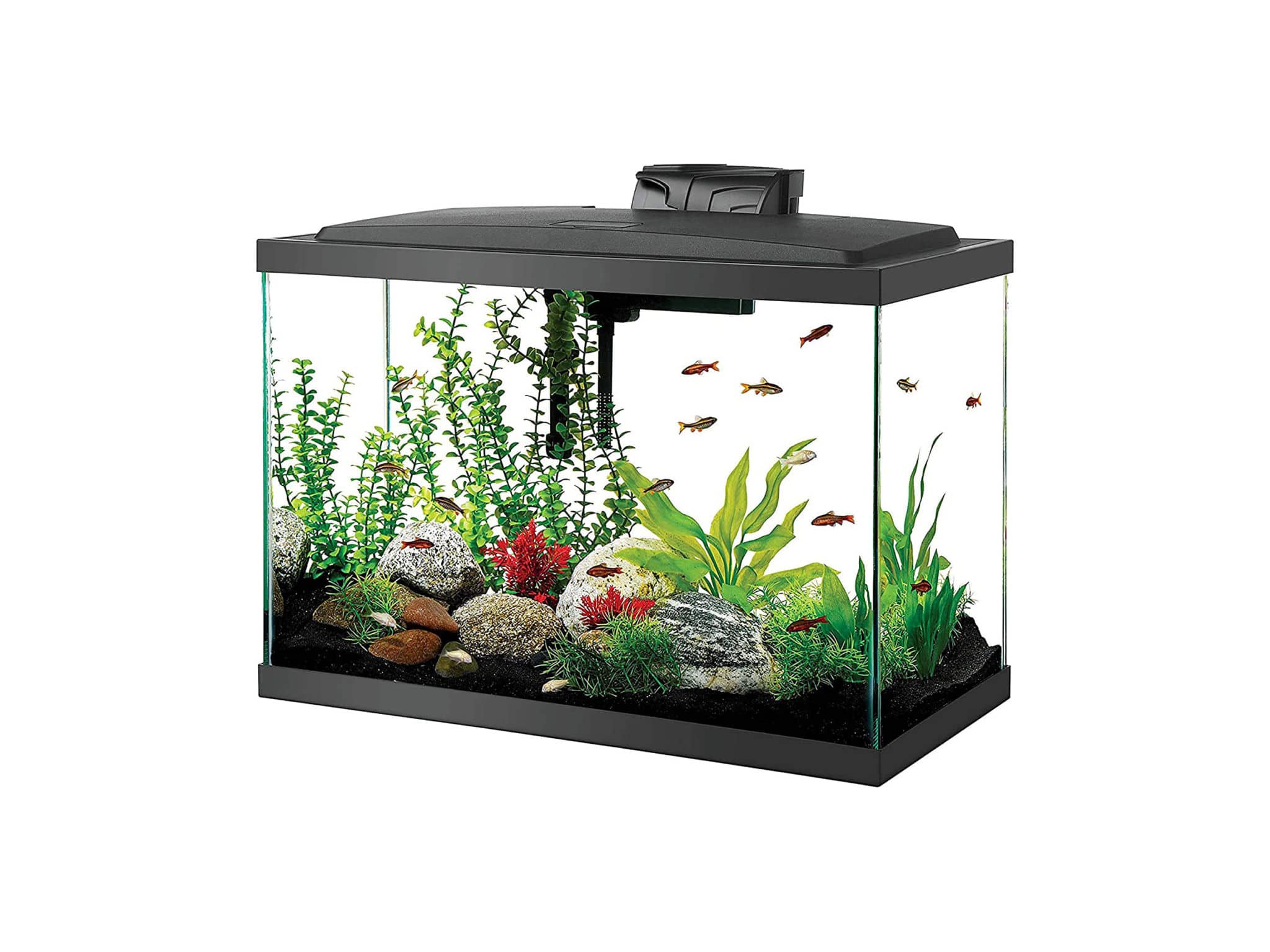 Aqueon Aquarium Starter Kit with LED Lighting 20 High