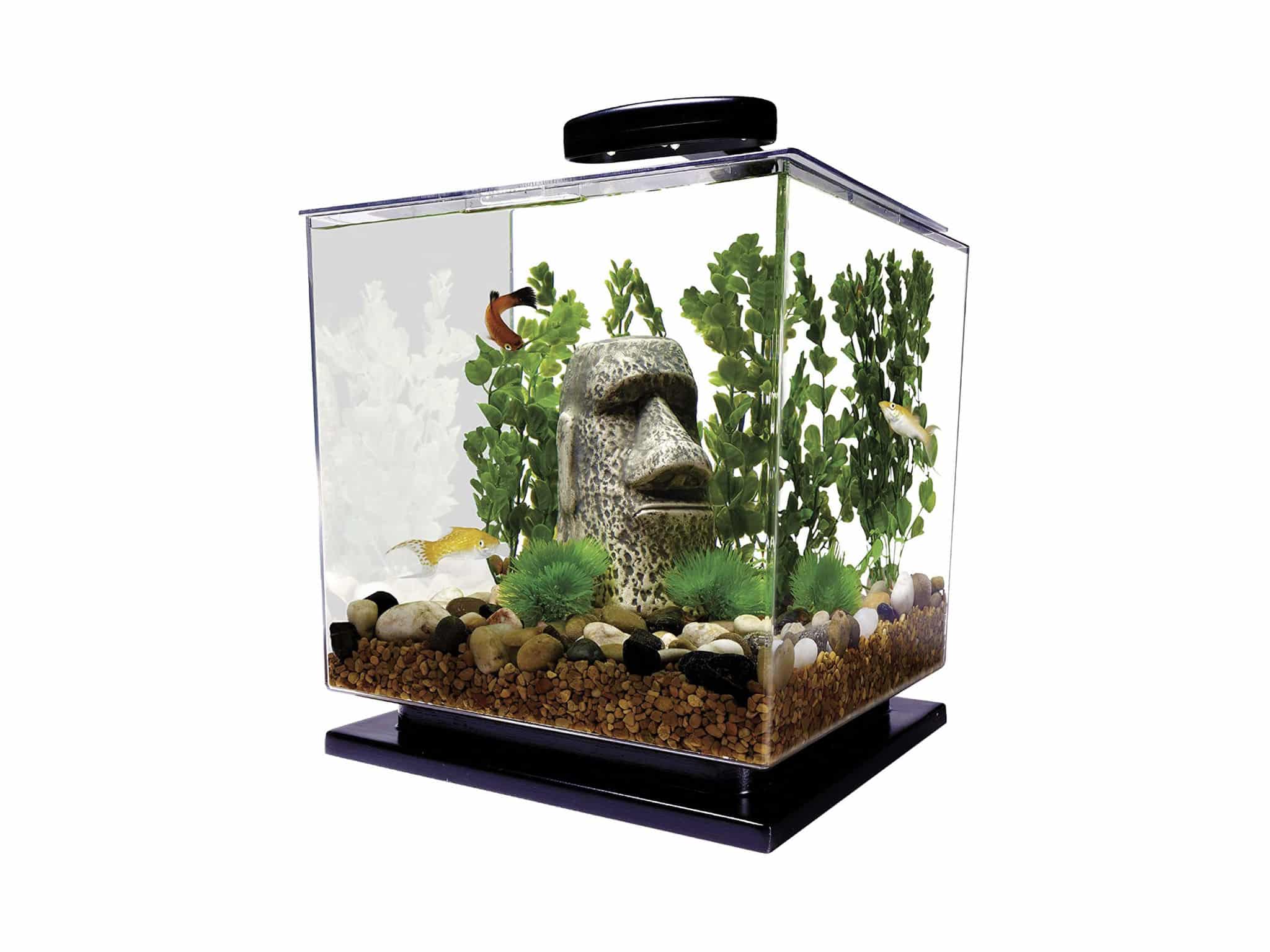 Tetra LED Cube Shaped 3 Gallon Aquarium with Pedestal Base