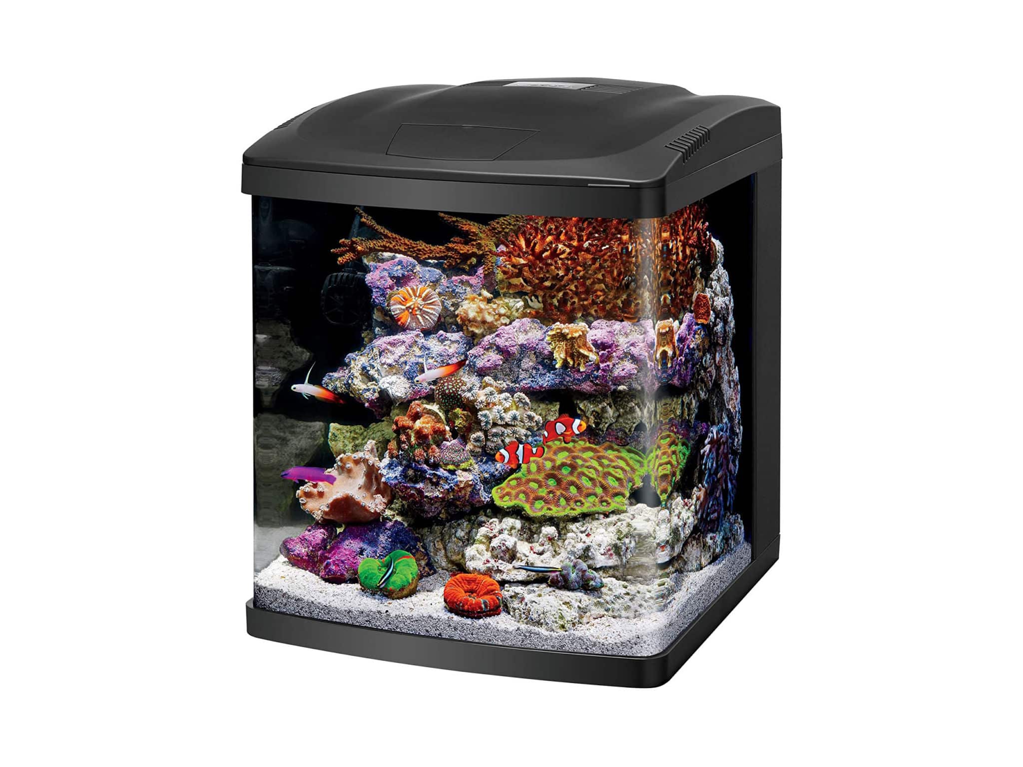 Coralife LED Biocube Aquarium LED