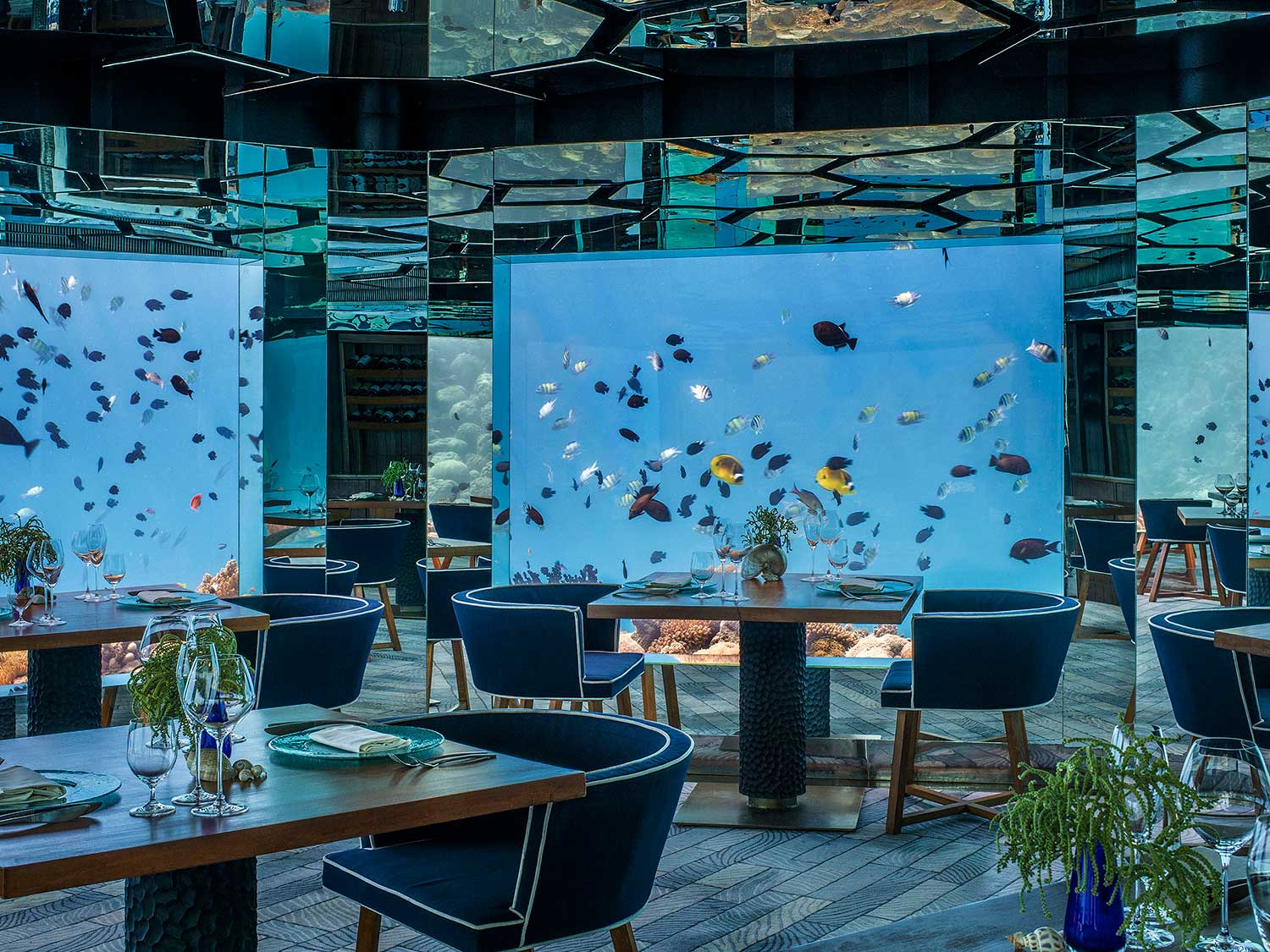 dining with fish