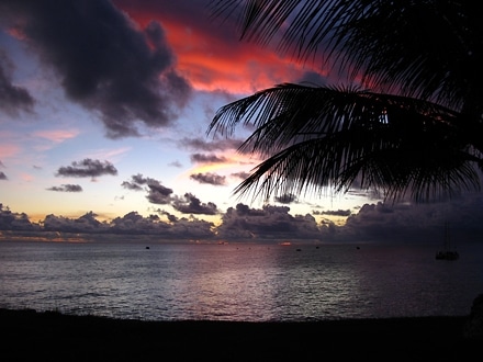 Barbados: Chasing Spirits - To find the secrets of the world's most famous rum