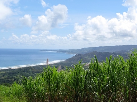 Barbados: Chasing Spirits - To find the secrets of the world's most famous rum