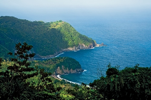 Blue List: Green Resorts - Find nature's home at Dominica's Jungle Bay Resort  
& Spa