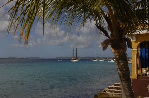 Bonaire_6_500x330_Sawyer.jpg