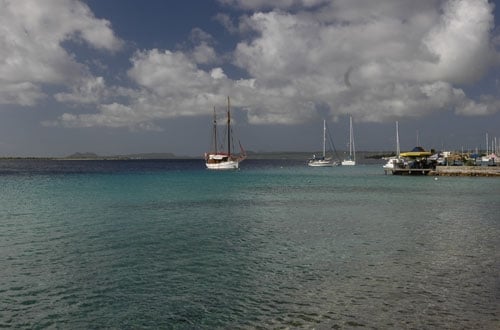 Bonaire_7_500x330_Sawyer.jpg