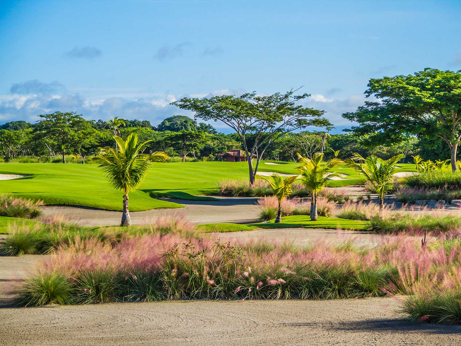 Jack Nicklaus course in Panama