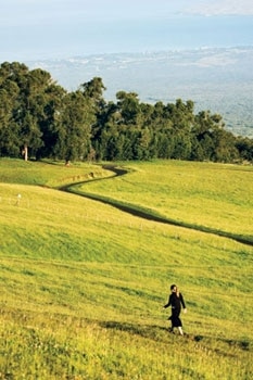 Coming Down the Mountain