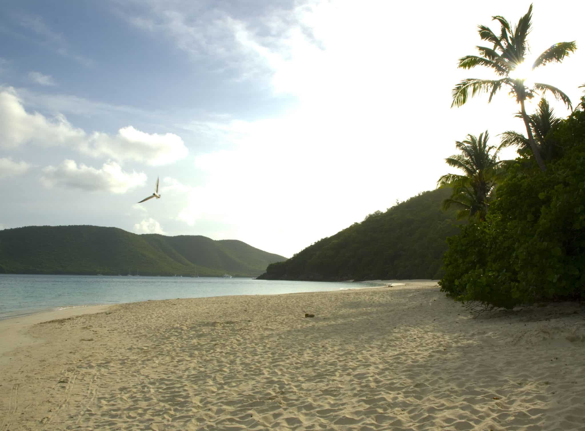 Cinnamon Bay, St. John, USVI