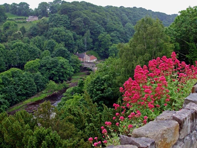 England by Ted Steadman