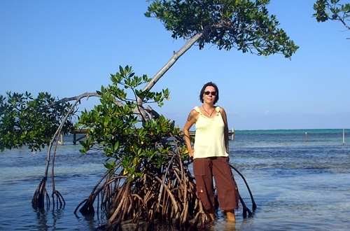 Expat Location: Ambergris Caye, Belize