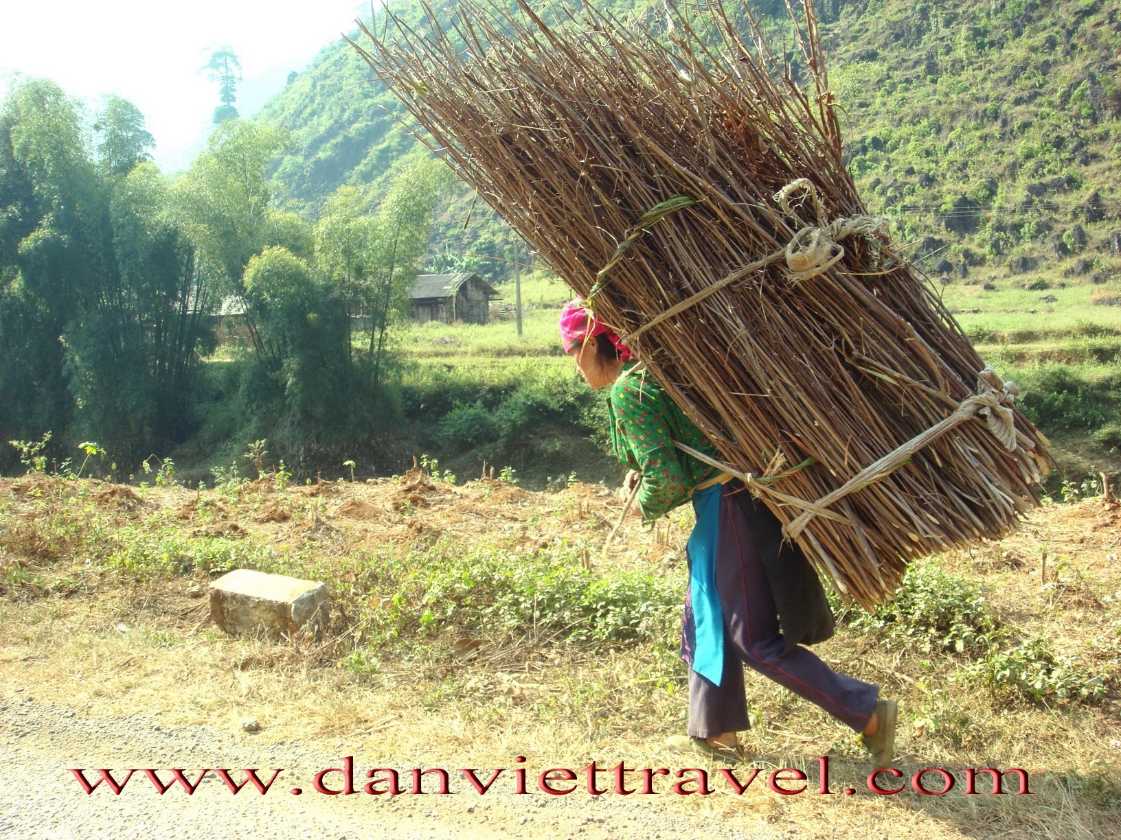 A powerful Vietnamese woman