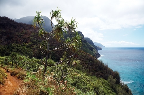 Explore Hawaii Location: Kauai