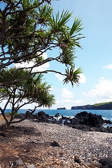 Explore Hawaii Location: Maui