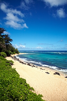 Explore Hawaii Location: Kauai