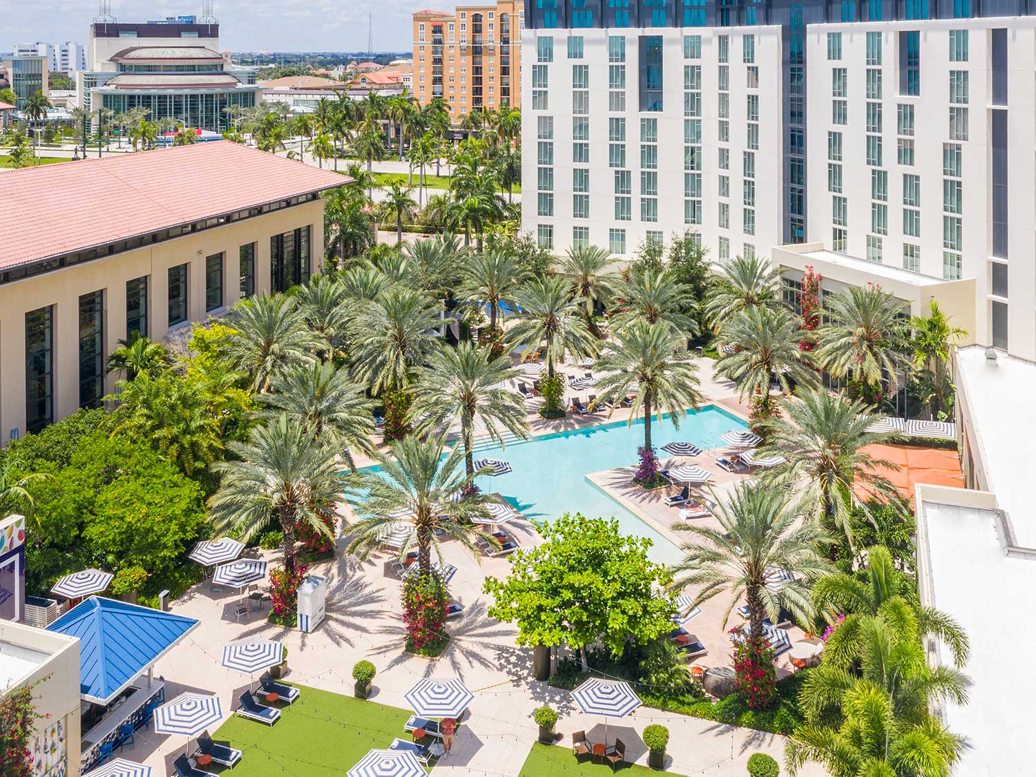 A resort style pool and spa surrounded by palms.