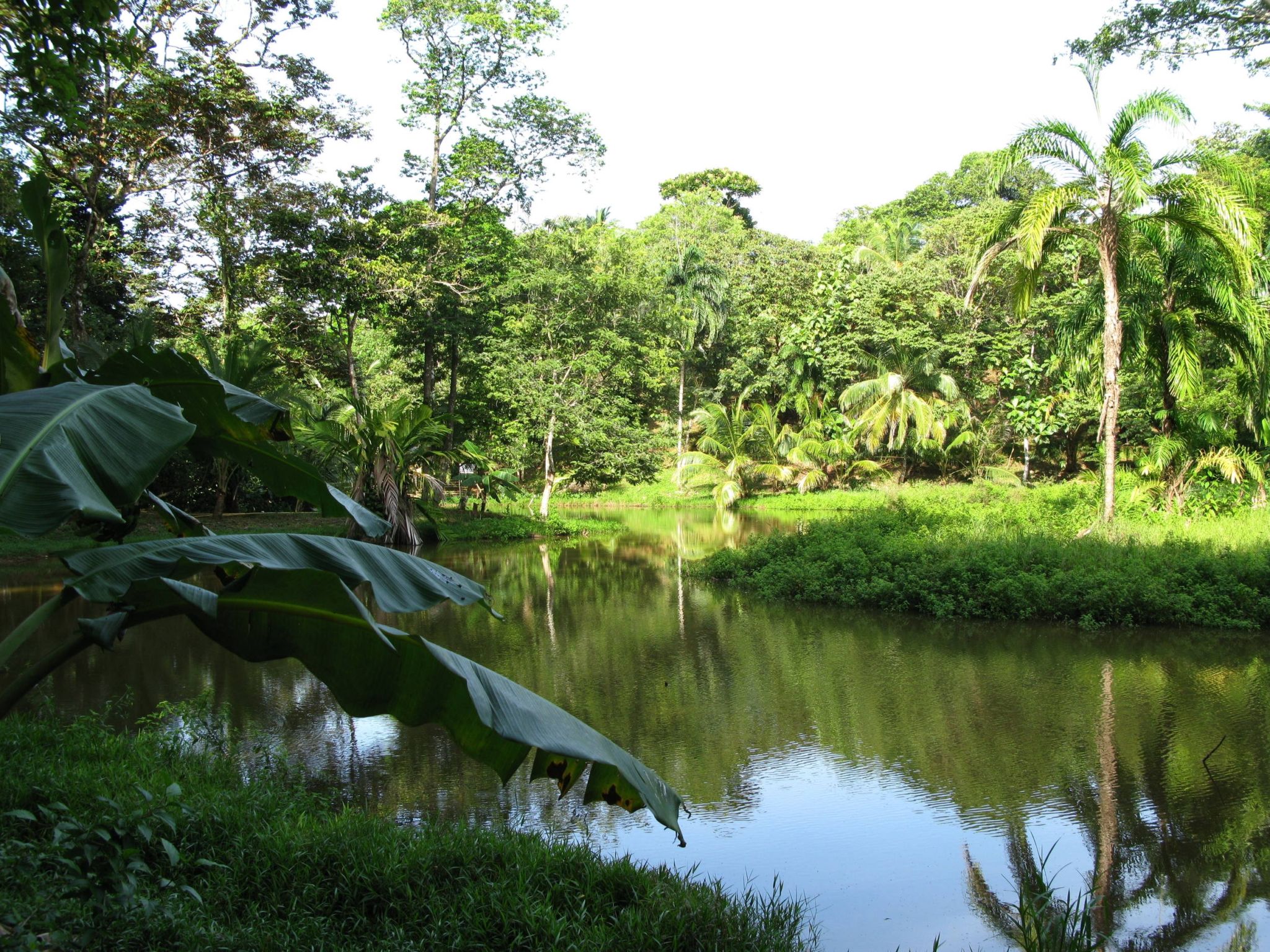 Hike to Red Frog Beach