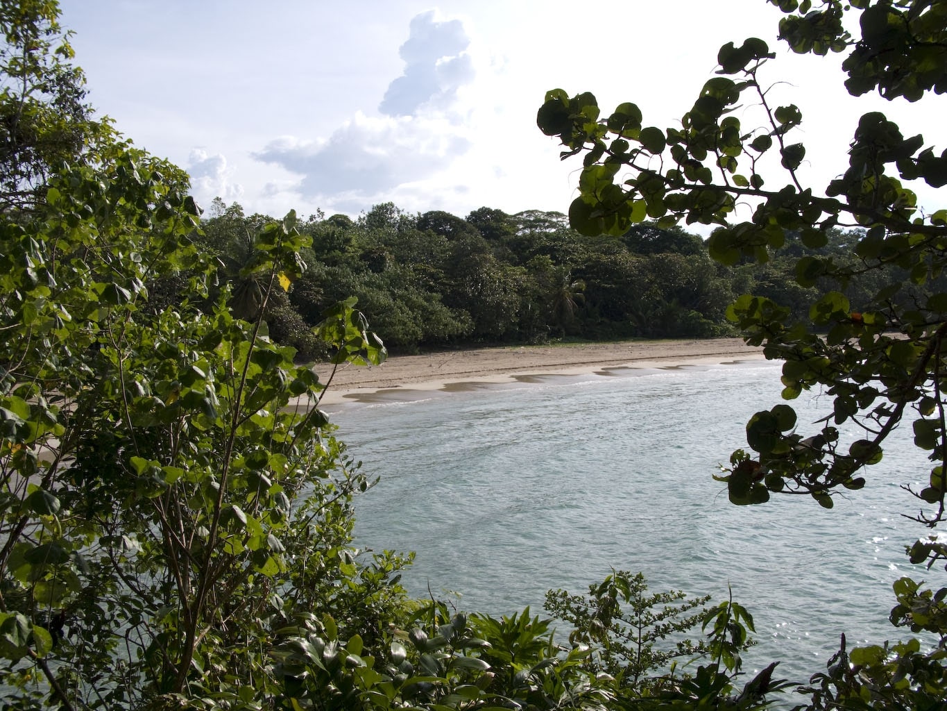 Red Frog Beach