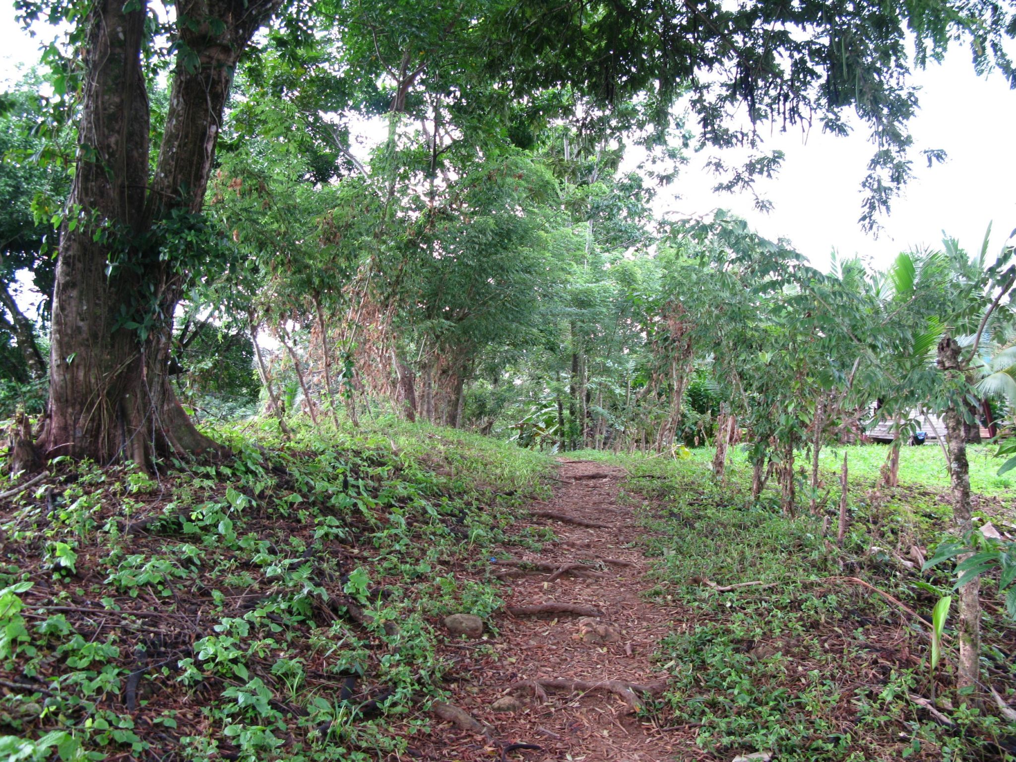 Hike to Wizard Beach