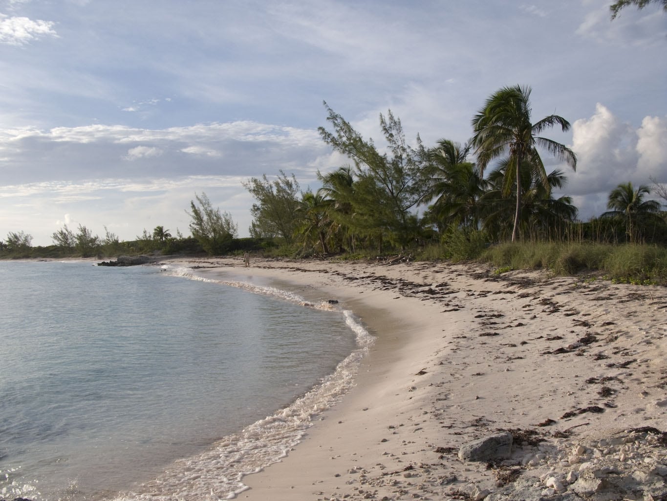 Pink beach