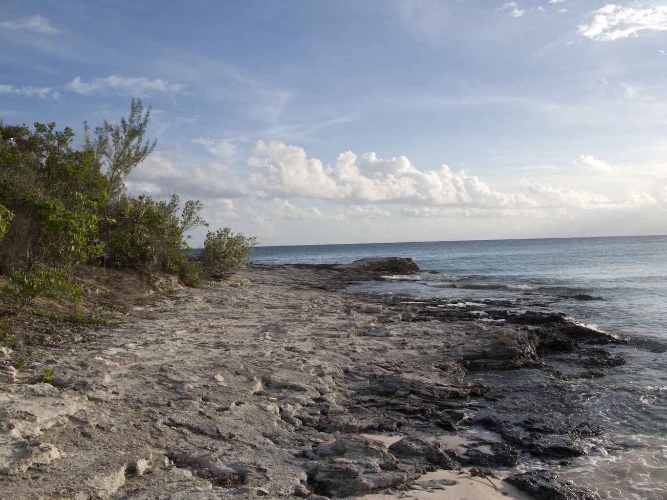 Limestone at Lighthouse Point