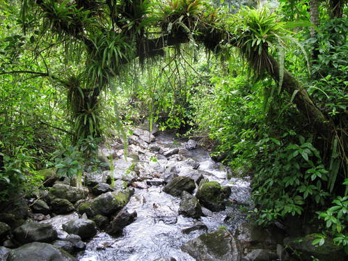 El Yunque, Puerto Rico