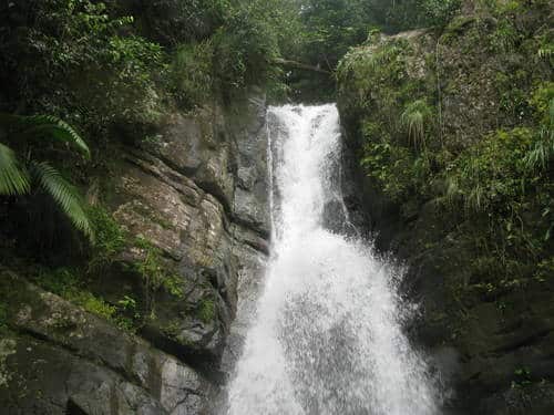 El Yunque, Puerto Rico