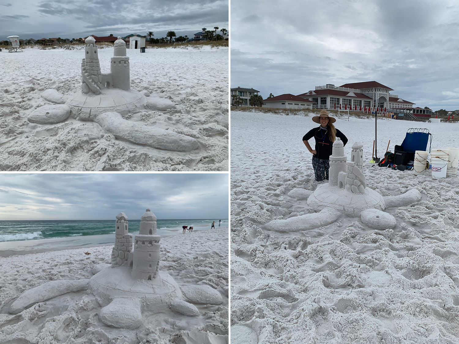 A large sand turtle on the beach