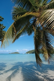 Honorable Mention: Maho Bay, St. John, taken by William Czarnowski from Endwell, NY
