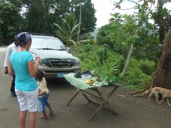 Jungle Fruit Tasting