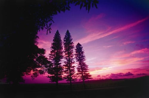 Lanai_11_500x330.jpg