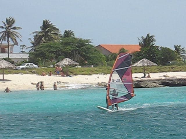Aruba Windsurfing