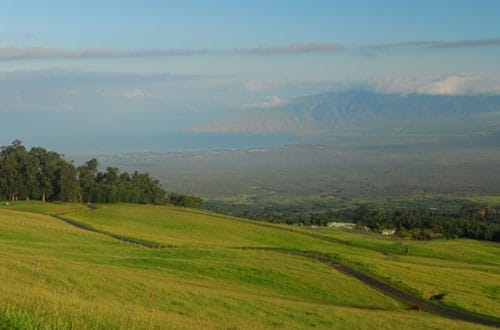 Maui_2_500x330.jpg