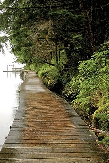 Honorable Mention: Bell Island, Alaska