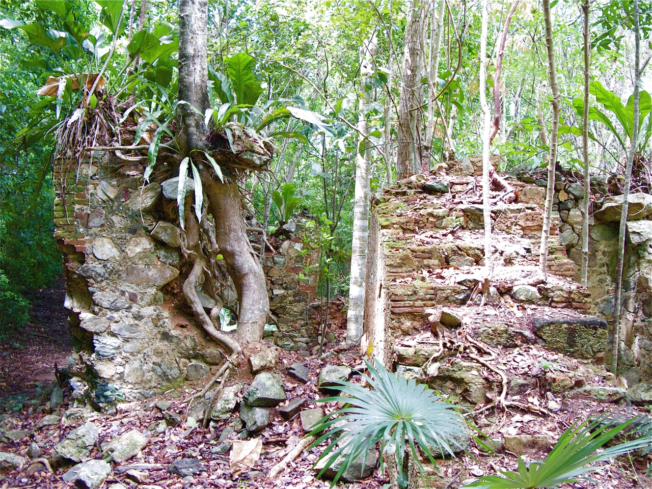 Reef Bay Trail, St. John, USVI