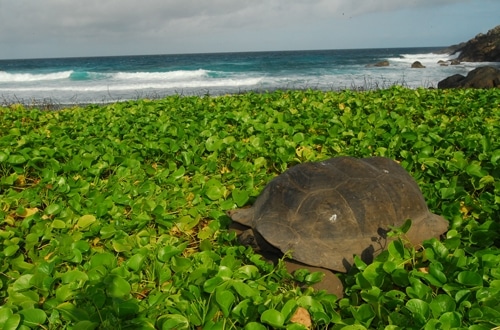 Seychelles_5_500x330.jpg