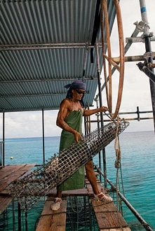 Tahiti-1008_gallery_06_03.jpg