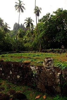 Tahiti-1008_gallery_86_03.jpg