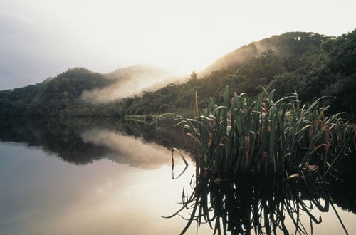 Tasmania_12_500x330.jpg