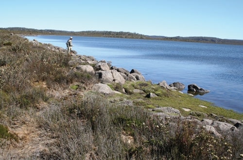 Tasmania_1_500x330.jpg