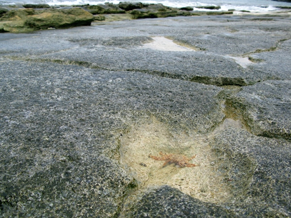 a castaway on monuriki island.jpg