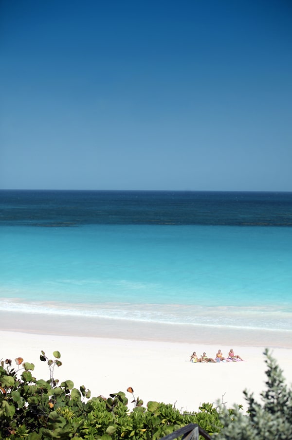 Beach - Pink Sands, Harbour Island, Bahamas